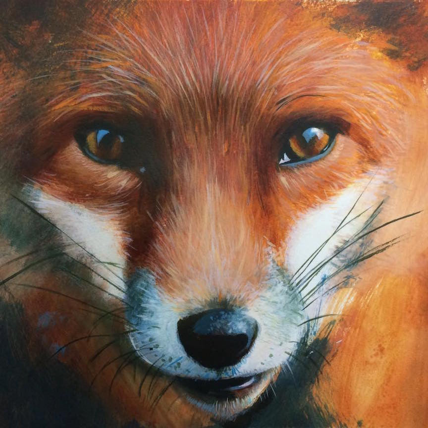 Red Fox