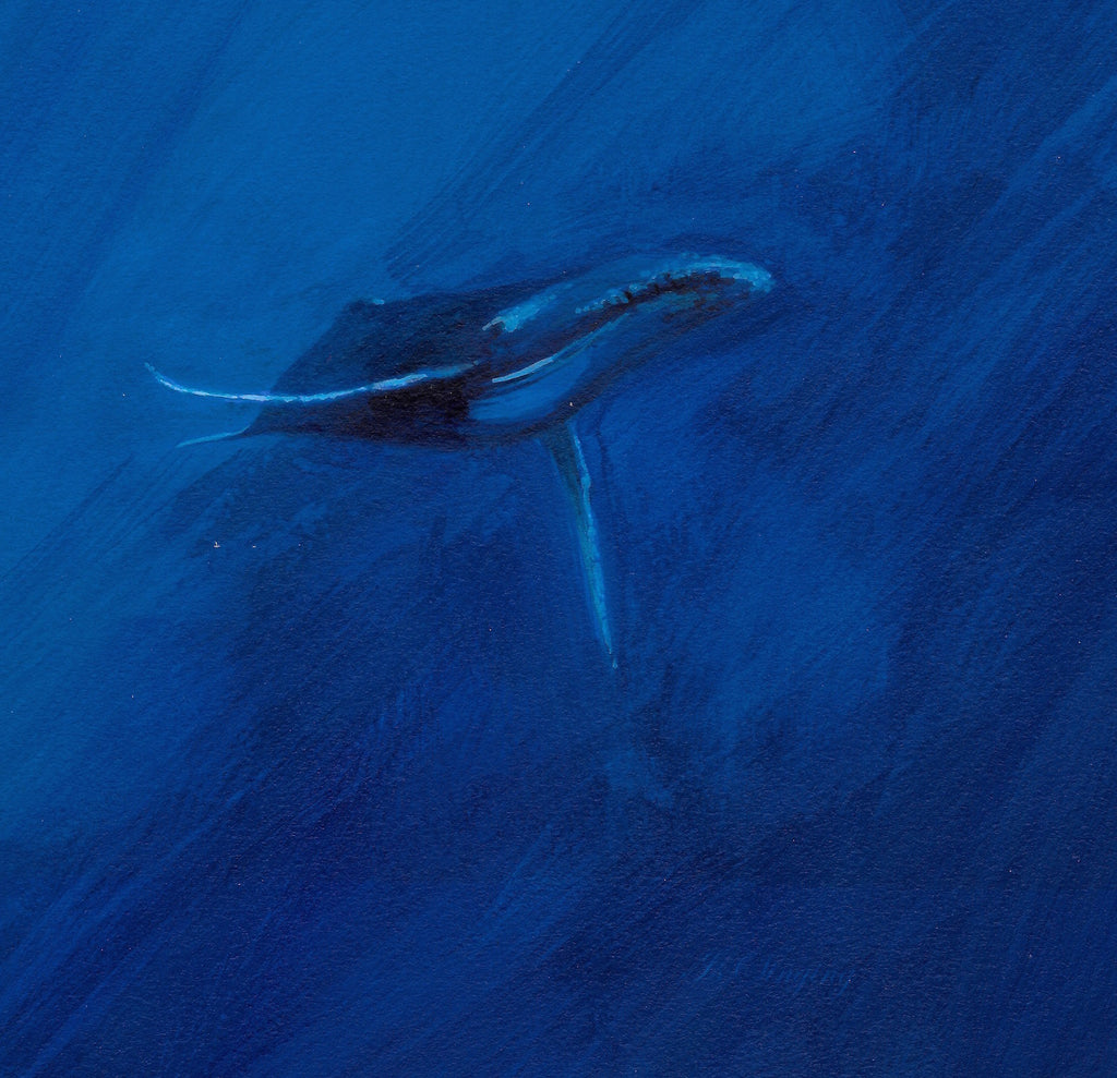 Humpback Limited Edition Print