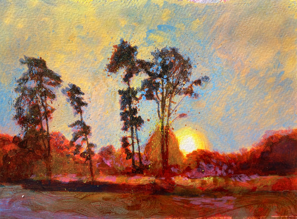 Scots Pine