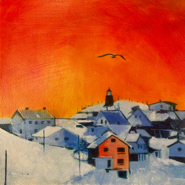 A Fulmar glides in the most beautiful sunset I have ever seen