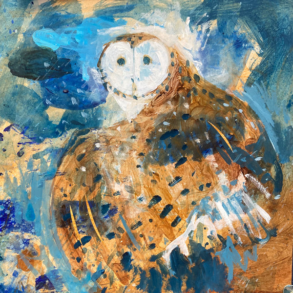 Barn Owl
