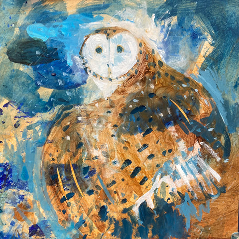 Barn Owl