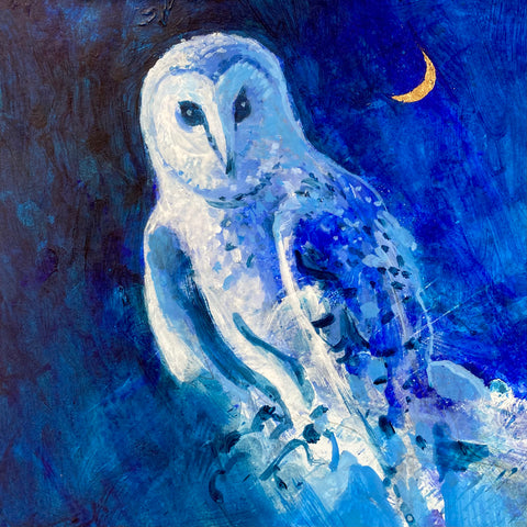 Midnight Owl