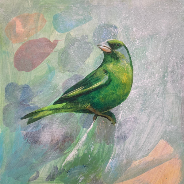 Mrs Greenfinch