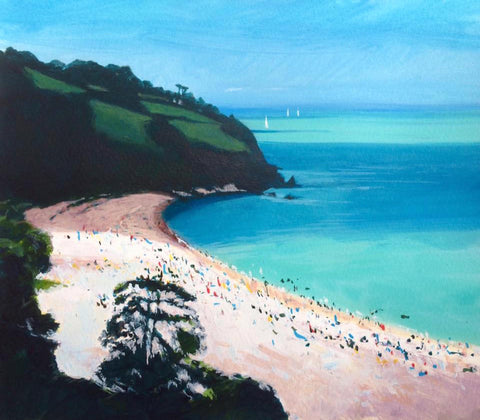 Pink Sands, Aqua Seas