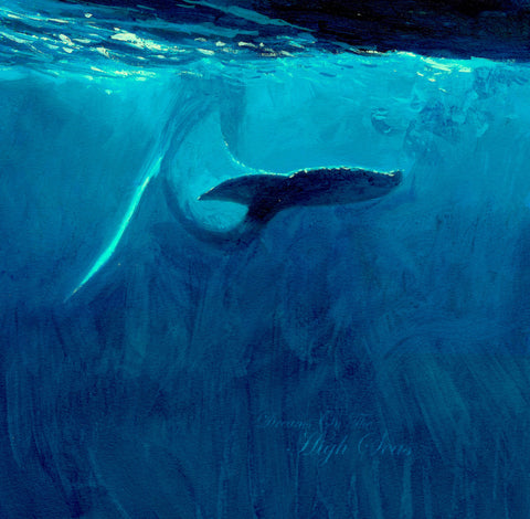 Dreams on the High Seas Study
