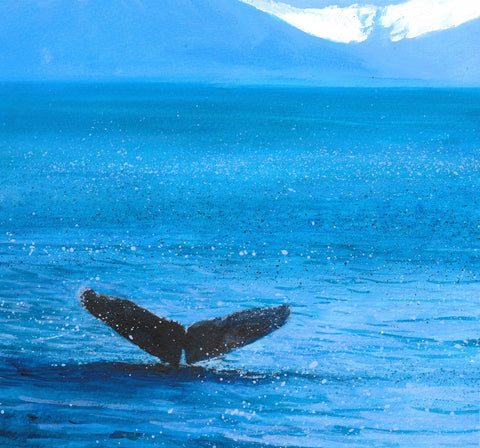 Fluke Limited Edition Print