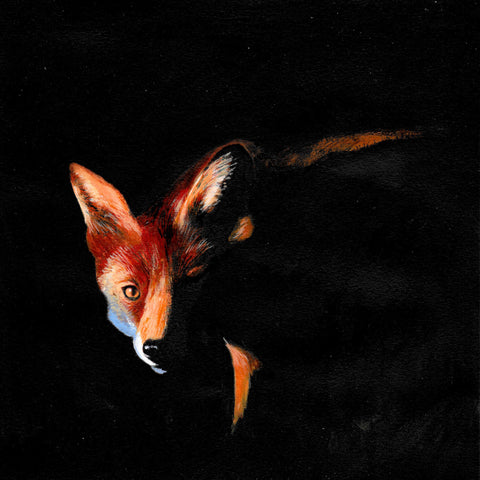Midnight visitor