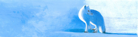 Arctic Fox