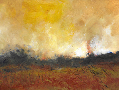 Burning the Gorse - Tinners Way