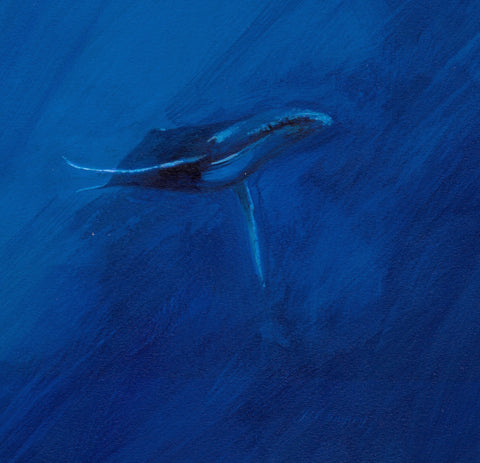 Humpback Limited Edition Print