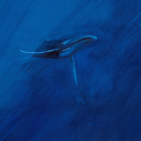 Humpback Study