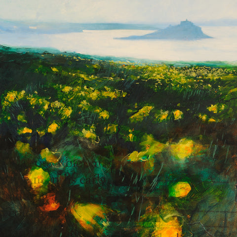 Mounts Bay Daffs