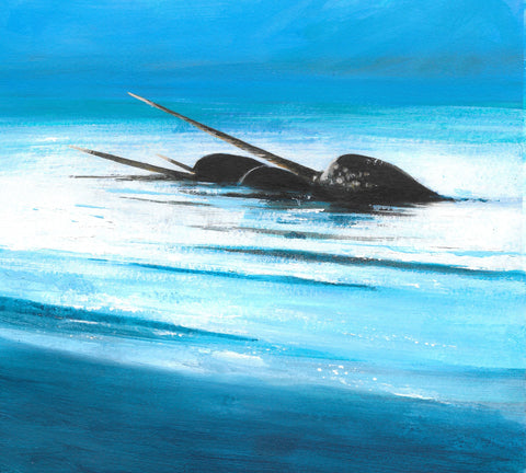 Narwhal