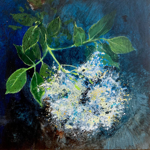 Elderflower