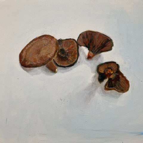 Wood Blewit Mushrooms
