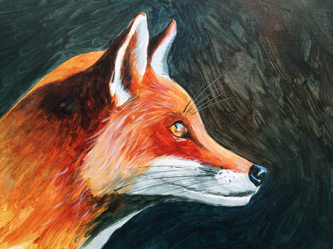Red Fox